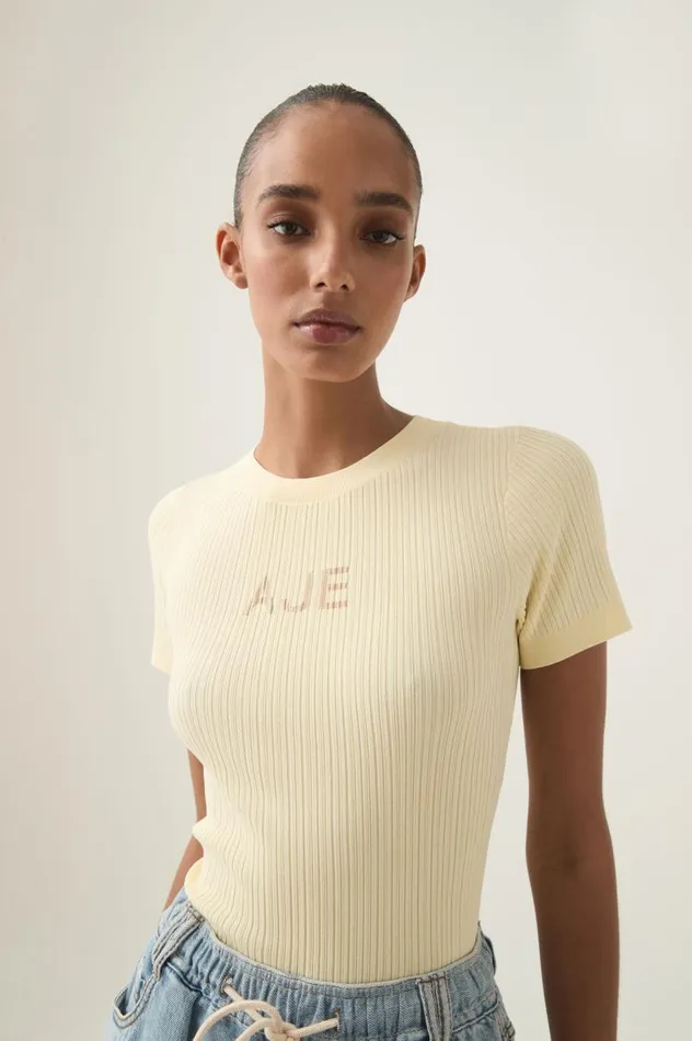 Aje Tees Depths Slim Fit Knit Tee Faded Lemontawny Brown 8211 Women