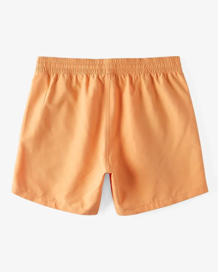 Billabong All Day Layback 16034 Elastic Waist Shorts Melon Mens Layback Boardshorts Billabong All Day Layback 16034 Elastic Waist Shorts Melon Mens Layback Boardshorts