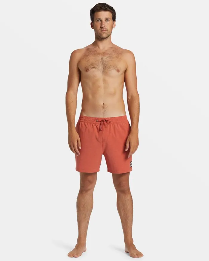 Billabong Every Other Day Layback 16034 Boardshorts Dusty Red Mens Short Length 16034 8211 175034 Billabong Every Other Day Layback 16034 Boardshorts Dusty Red Mens Short Length 16034 8211 175034