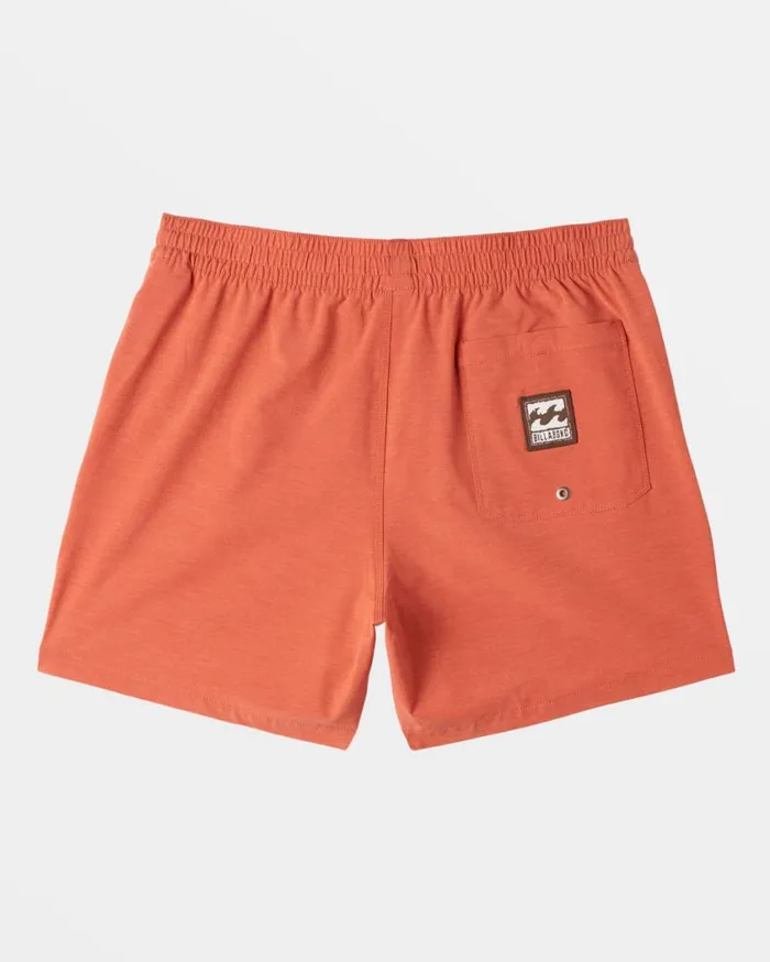 Billabong Every Other Day Layback 16034 Boardshorts Dusty Red Mens Short Length 16034 8211 175034 Billabong Every Other Day Layback 16034 Boardshorts Dusty Red Mens Short Length 16034 8211 175034