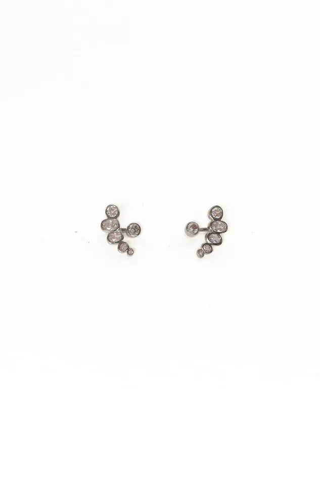 Elisa Earrings Silver Women Earrings Petal and Pup