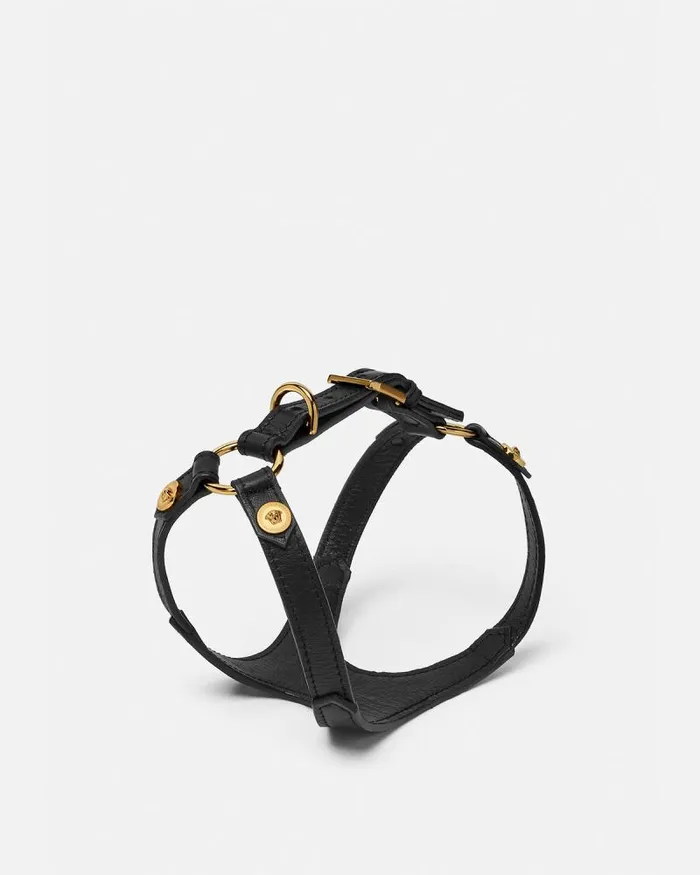 Icon Pet Harness Black Home and Lifestyle Versace Pet Accessories