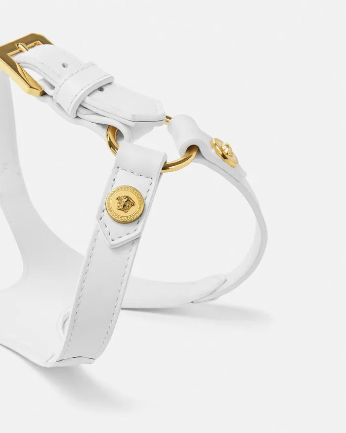 Icon Pet Harness White Home and Lifestyle Versace Pet Accessories