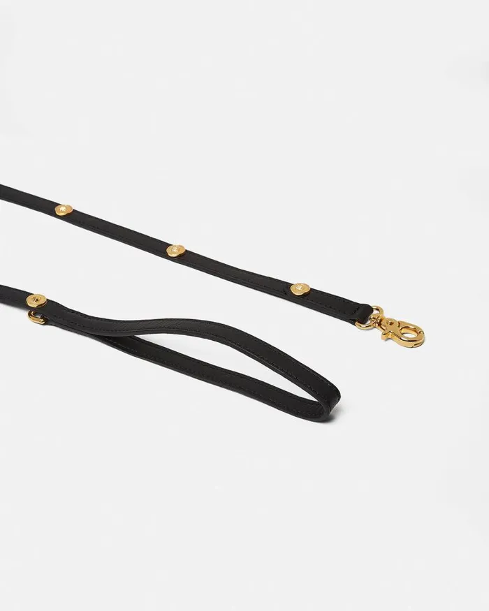 Icon Small Pet Leash Black Home and Lifestyle Versace Pet Accessories