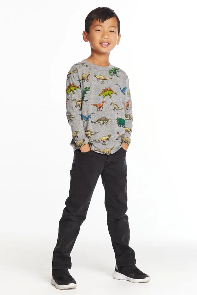 Kids Chaser Brand Boys Dinosaurs Boys Long Sleeve