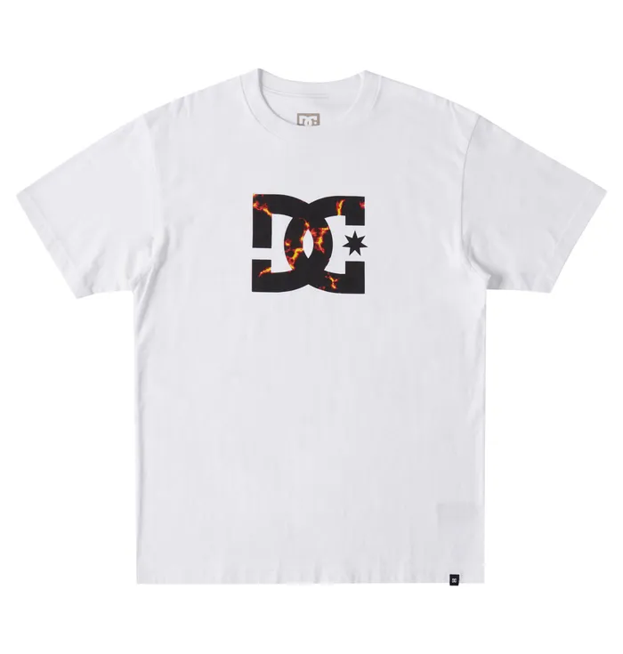 Men DC Shoes DC Star Fill Heritage TShirt whitefire TShirts