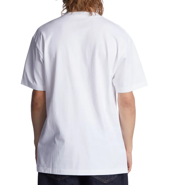 Men DC Shoes DC Star Fill Heritage TShirt whitefire TShirts