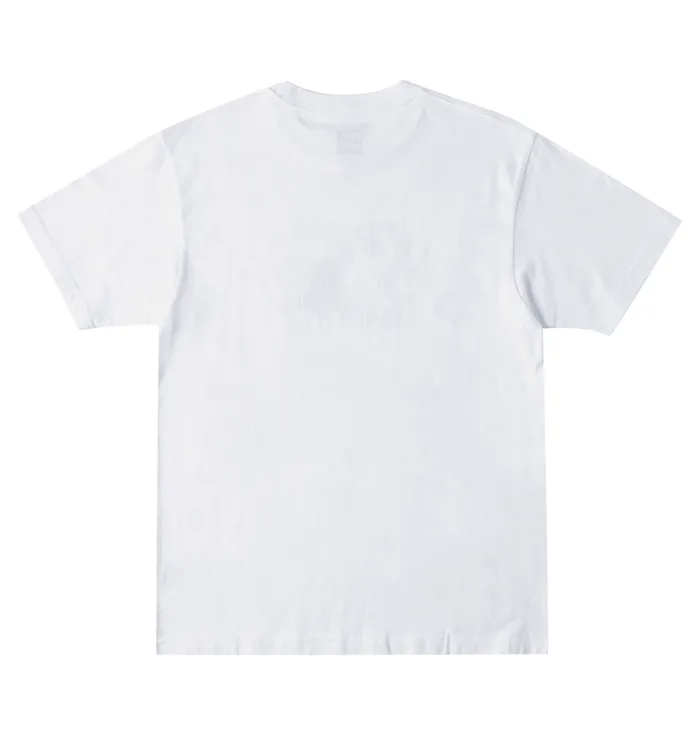 Men DC Shoes DC Star Fill Heritage TShirt whitefire TShirts