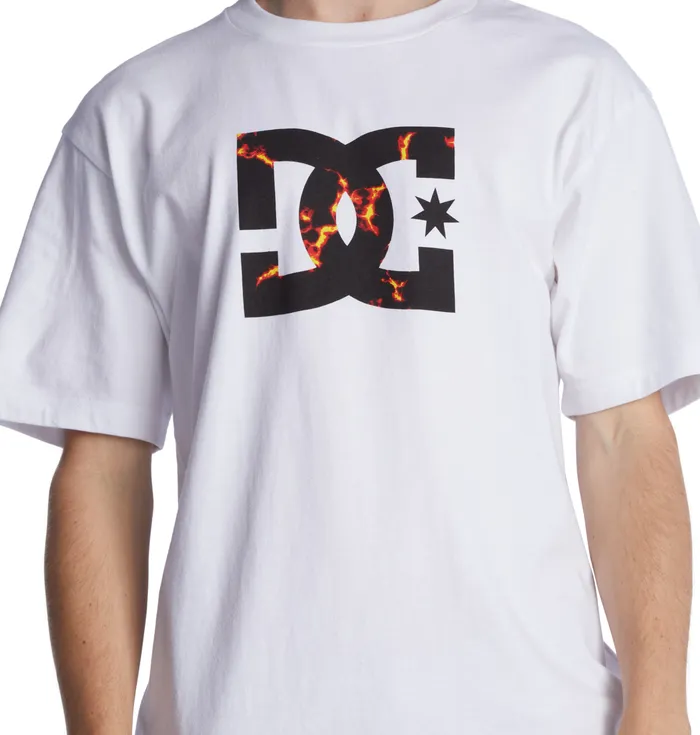 Men DC Shoes DC Star Fill Heritage TShirt whitefire TShirts