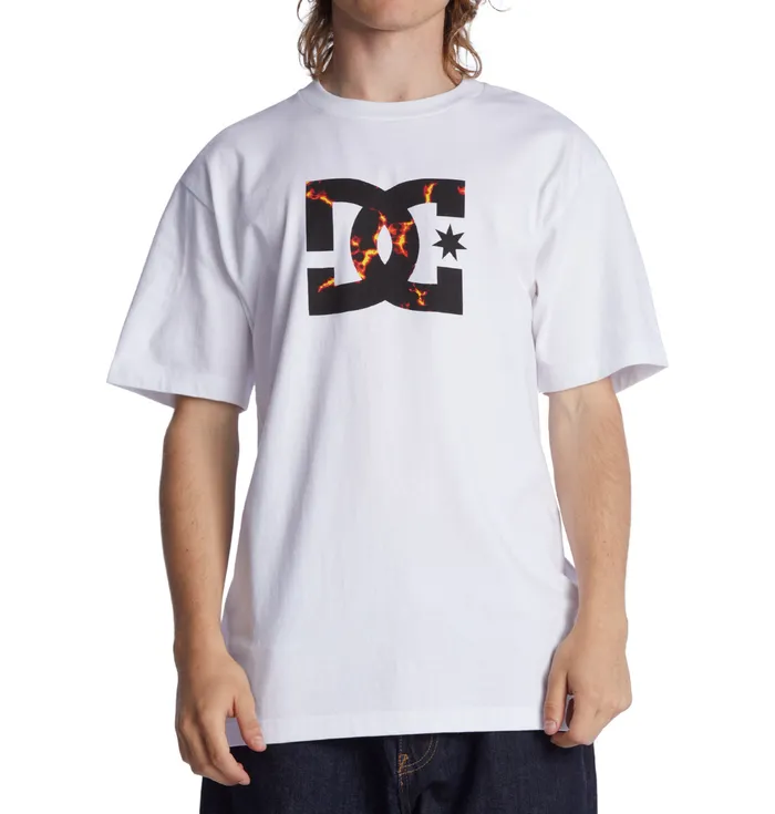 Men DC Shoes DC Star Fill Heritage TShirt whitefire TShirts