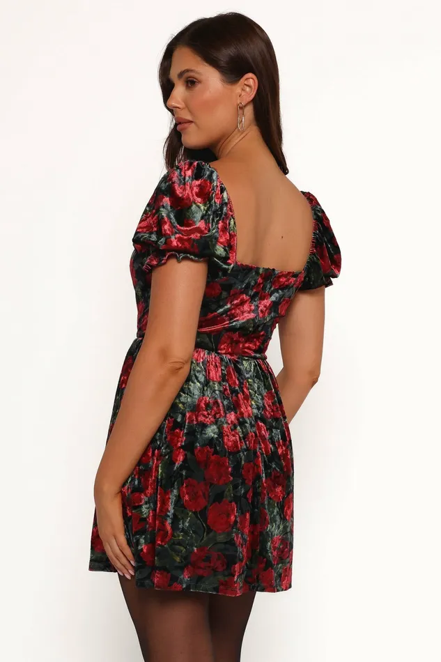 Petal and Pup Anders Mini Dress BlackRed Women Floral Dresses