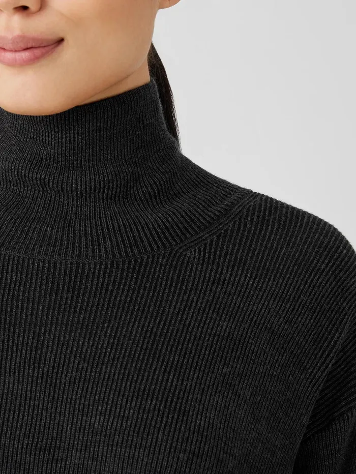 Sweaters and Cardigans Women Eileen Fisher Merino Turtleneck Top Charcoal