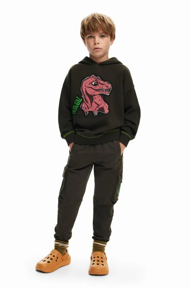Sweaters and Sweatshirts Kids Desigual Dinosaur Sweatshirt Green