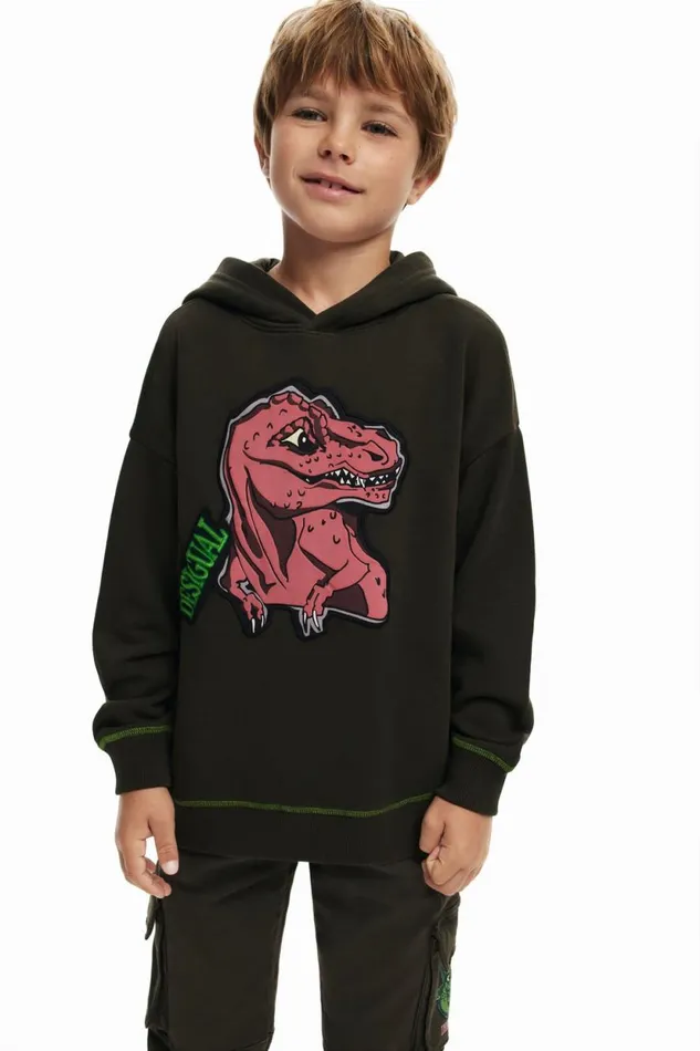 Sweaters and Sweatshirts Kids Desigual Dinosaur Sweatshirt Green