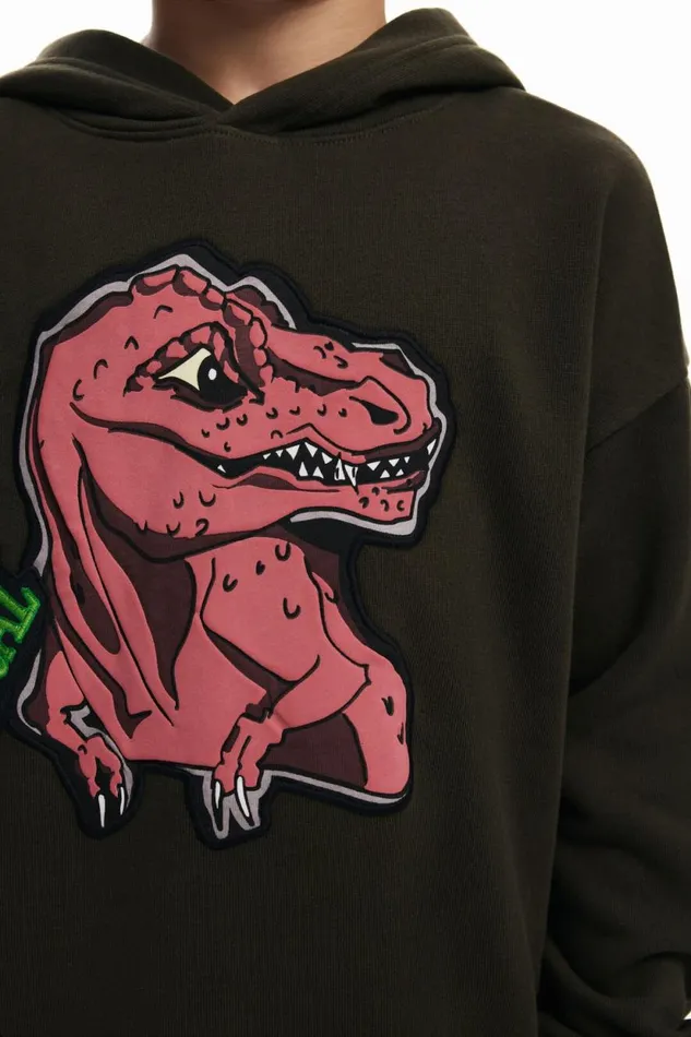 Sweaters and Sweatshirts Kids Desigual Dinosaur Sweatshirt Green