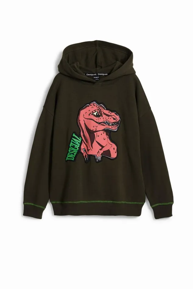 Sweaters and Sweatshirts Kids Desigual Dinosaur Sweatshirt Green