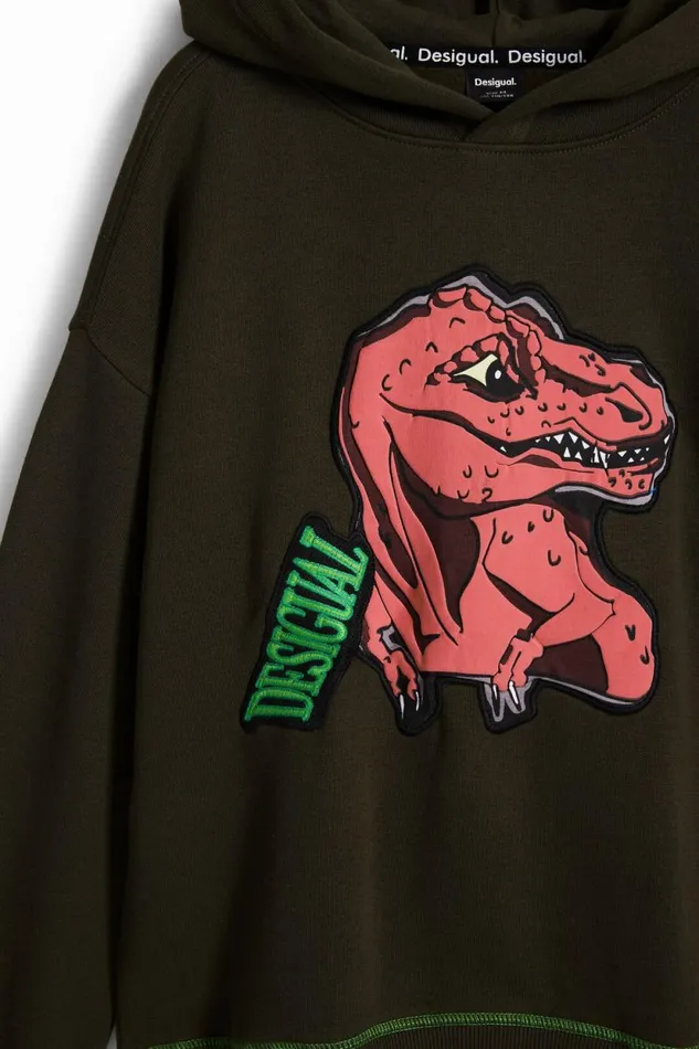 Sweaters and Sweatshirts Kids Desigual Dinosaur Sweatshirt Green
