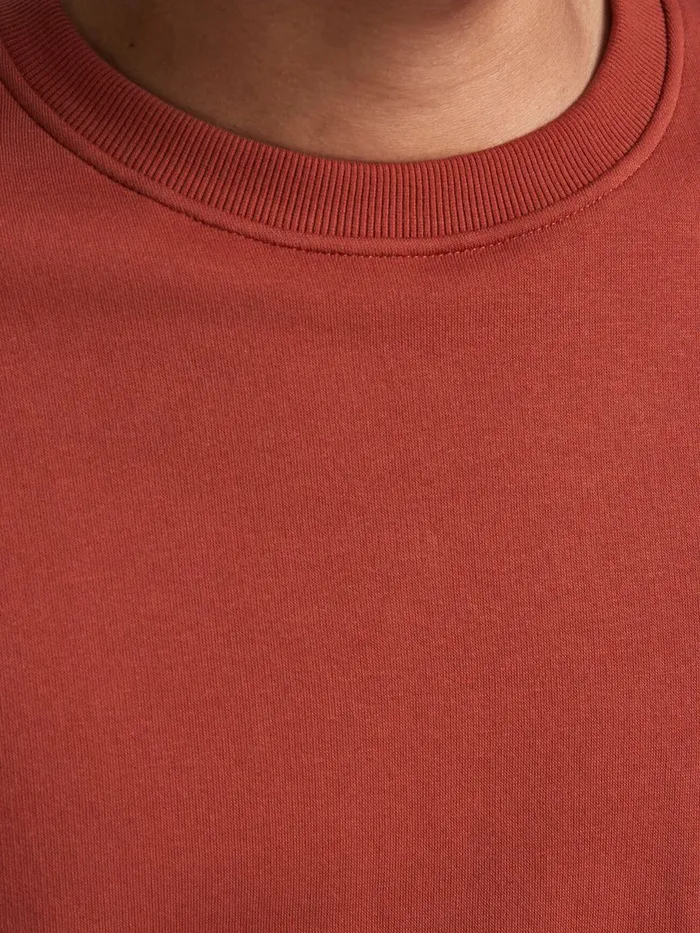 Sweatshirts JACK and JONES Mens CREW NECK SWEATSHIRT Red Summer Fig Casaul