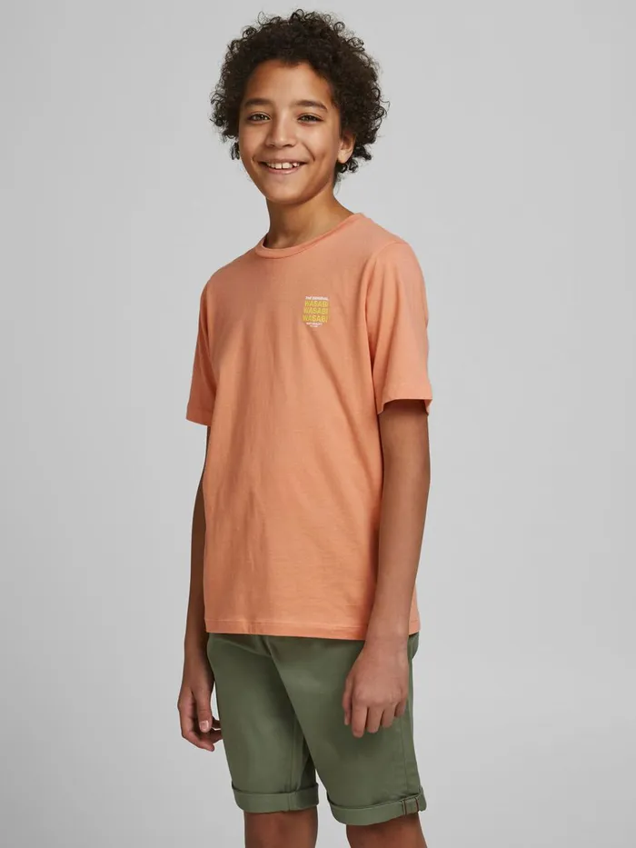 Tshirts JACK and JONES Junior BOYS PRINT TSHIRT Pastel Shell Coral Gift for Friend Tshirts JACK and JONES Junior BOYS PRINT TSHIRT Pastel Shell Coral Gift for Friend