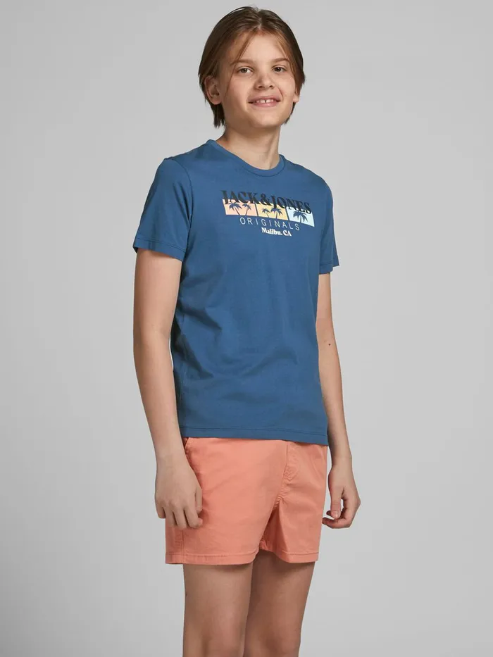 Tshirts JACK and JONES Junior BOYS TROPICAL PRINT TSHIRT Blue Ensign Blue Gift 4 You Tshirts JACK and JONES Junior BOYS TROPICAL PRINT TSHIRT Blue Ensign Blue Gift 4 You