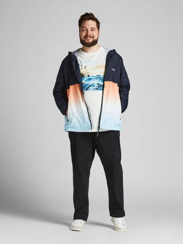 Tshirts JACK and JONES Mens PHOTO PRINTED PLUS SIZE TSHIRT White Cloud Dancer Near Me