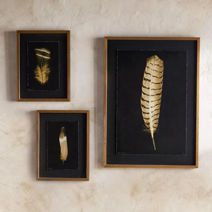 Women Feather Studies Negatives Prints 3 Sundance Catalog Decor