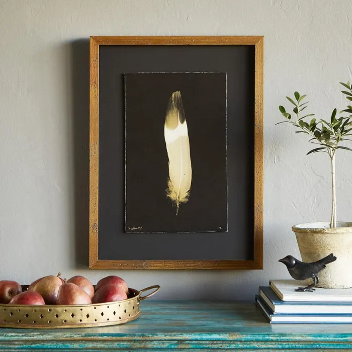 Women Feather Studies Negatives Prints 3 Sundance Catalog Decor Women Feather Studies Negatives Prints 3 Sundance Catalog Decor