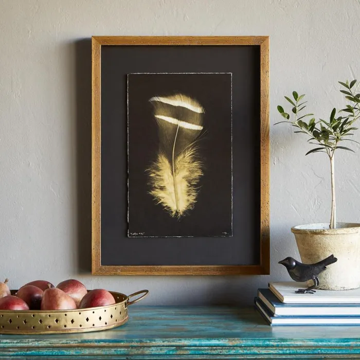 Women Feather Studies Negatives Prints 3 Sundance Catalog Decor Women Feather Studies Negatives Prints 3 Sundance Catalog Decor