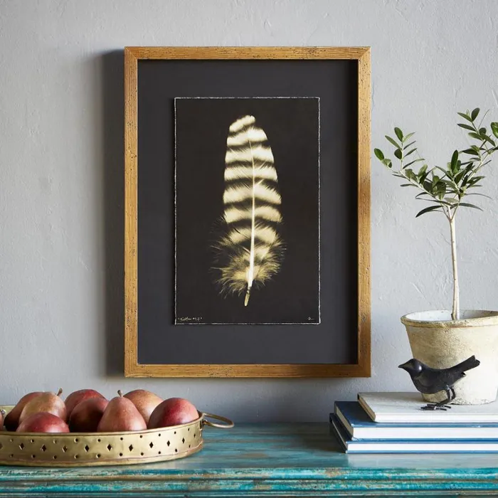 Women Feather Studies Negatives Prints 3 Sundance Catalog Decor Women Feather Studies Negatives Prints 3 Sundance Catalog Decor