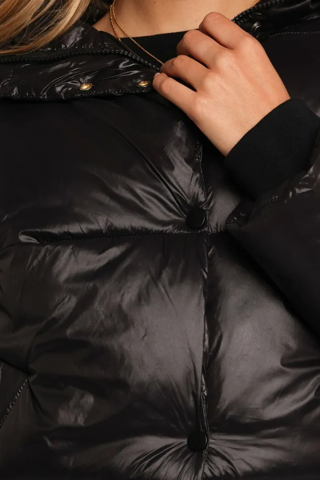 Women Petal and Pup Archie Puffer Jacket Black Jackets and Coats
