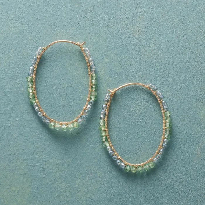 Women Roundabout Earrings Sundance Catalog Earrings