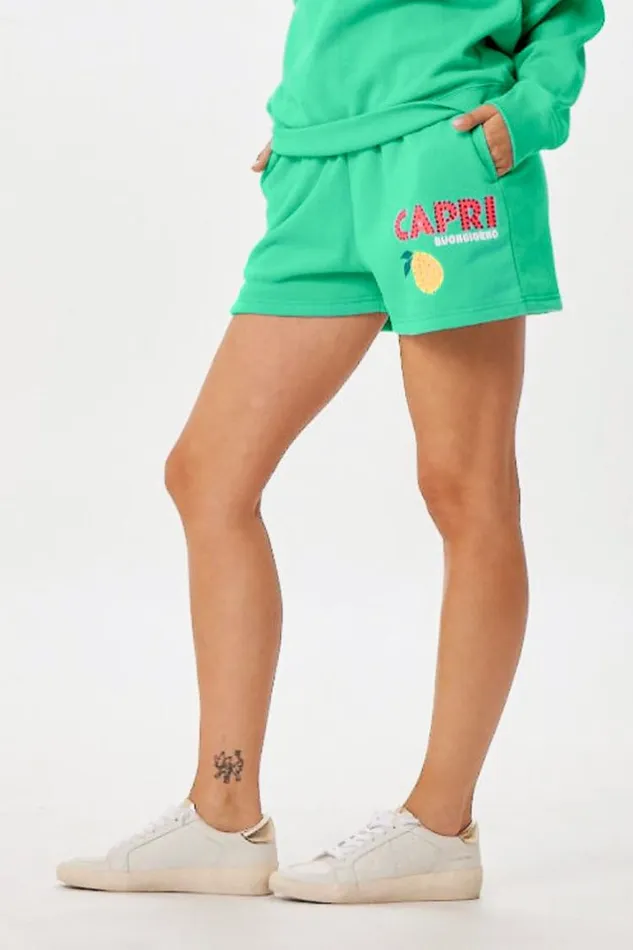 Women Vintage Havana All Bottoms Surf Green Capri Jet Setter Surf Wash Shorts Surf Green Women Vintage Havana All Bottoms Surf Green Capri Jet Setter Surf Wash Shorts Surf Green