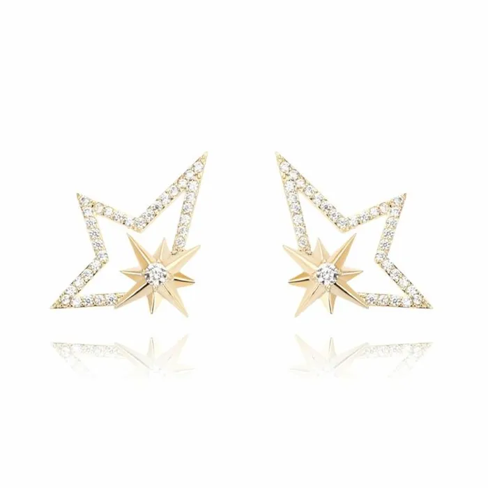 Women Vintage Havana Earrings DELLA EARRING