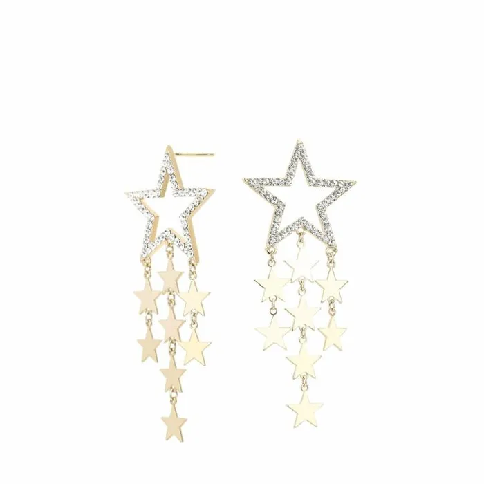 Women Vintage Havana Earrings FIONA EARRING