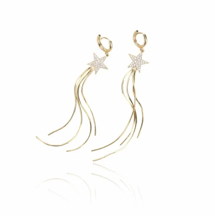 Women Vintage Havana Earrings TEAGAN EARRINGS