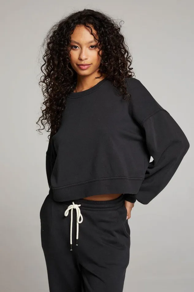 Womens Chaser Brand Tops Belly Licorice Pullover