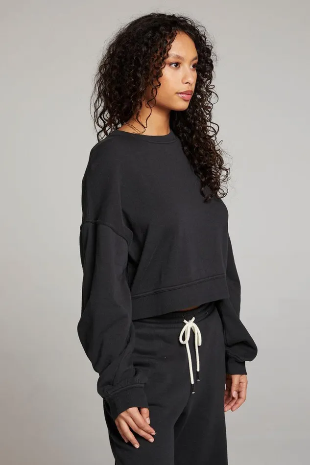 Womens Chaser Brand Tops Belly Licorice Pullover